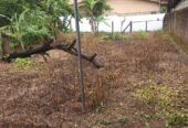 Land for Sale Arawwala Pannipitiya
