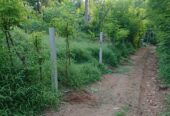 Residential Land for Sale in Kengalla