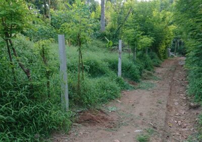 Residential Land for Sale in Kengalla