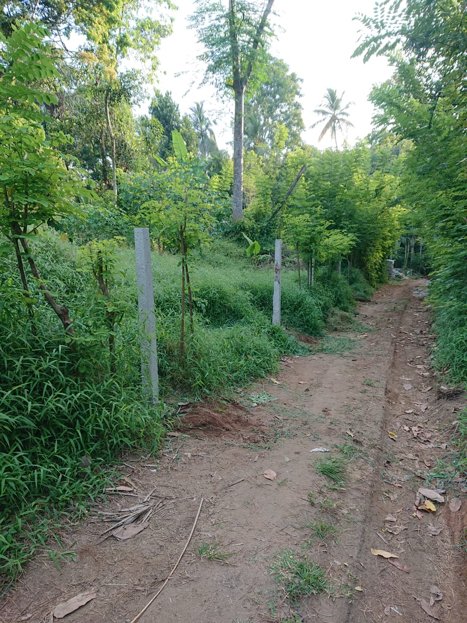 Residential Land for Sale in Kengalla