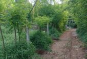 Residential Land for Sale in Kengalla