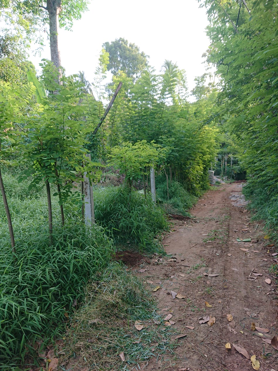 Residential Land for Sale in Kengalla