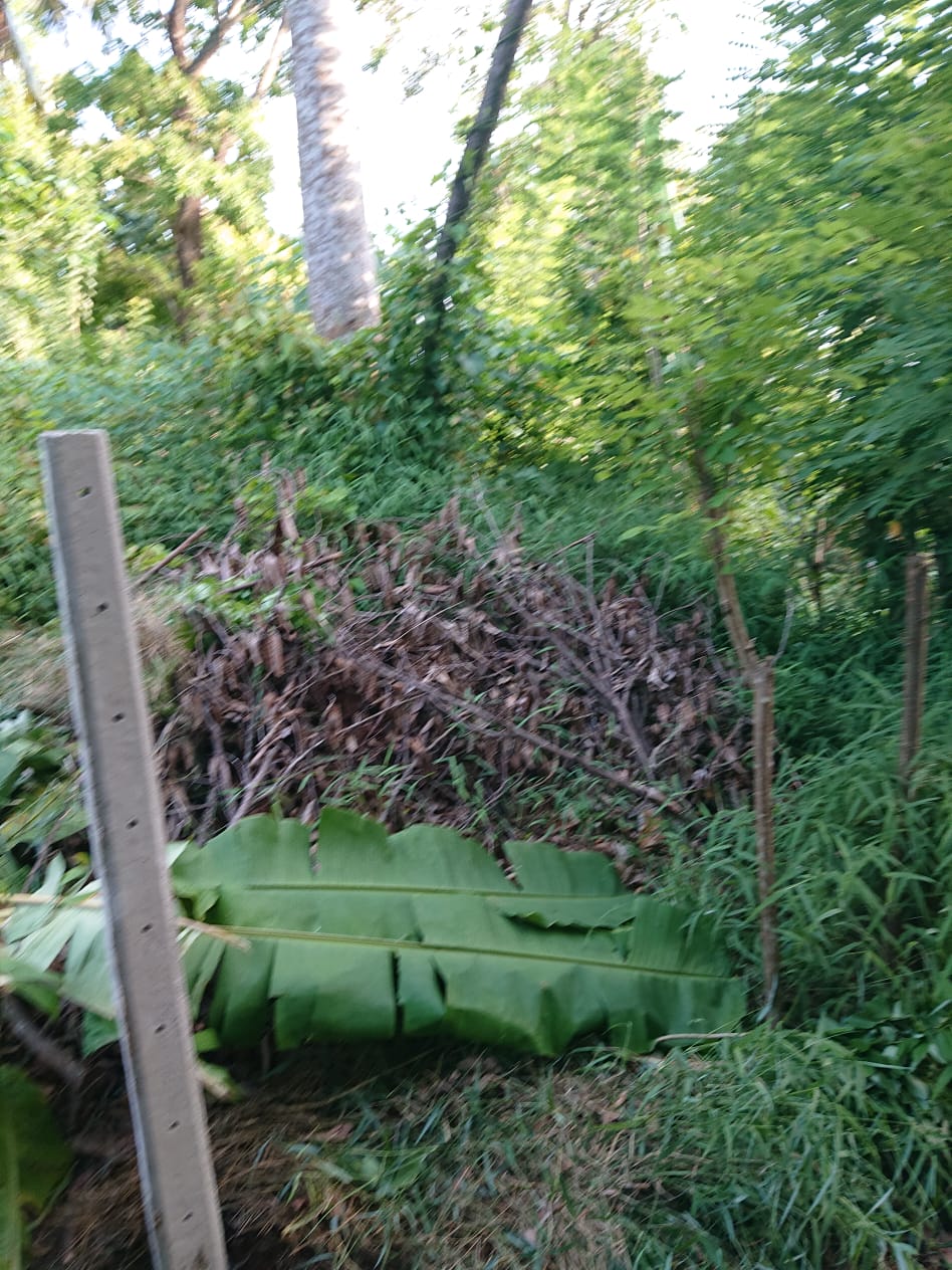 Residential Land for Sale in Kengalla