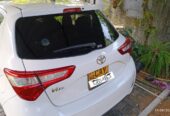 Toyota Vitz 2017