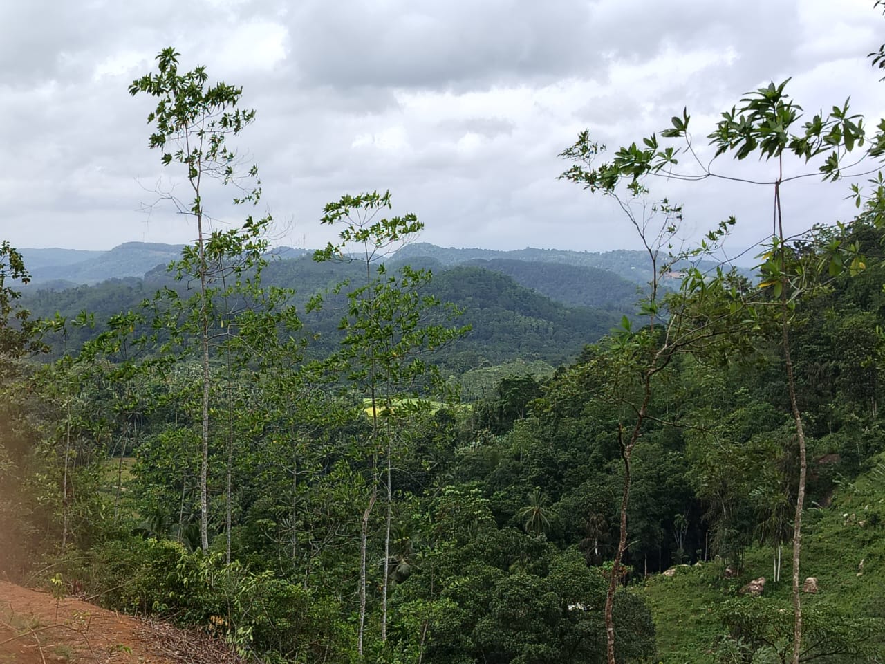 Land for sale Yatanwala