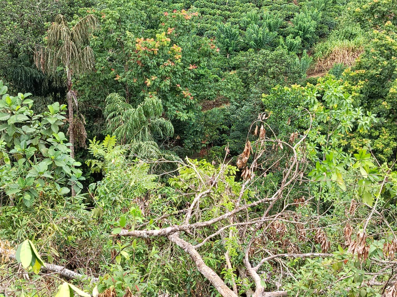 Land for sale Yatanwala