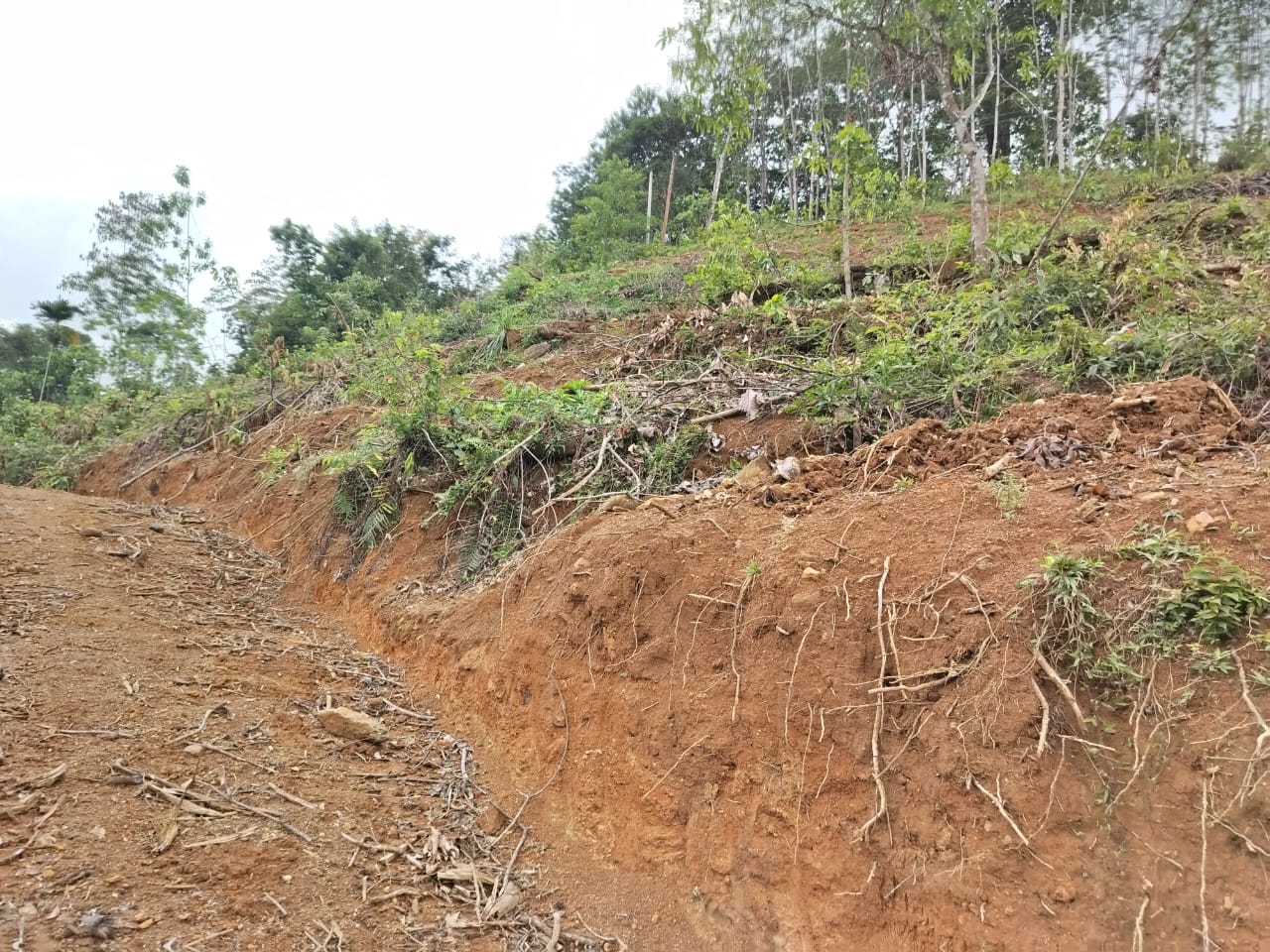 Land for sale Yatanwala