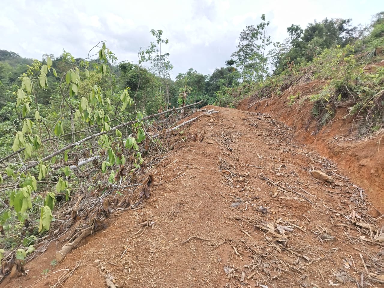 Land for sale Yatanwala