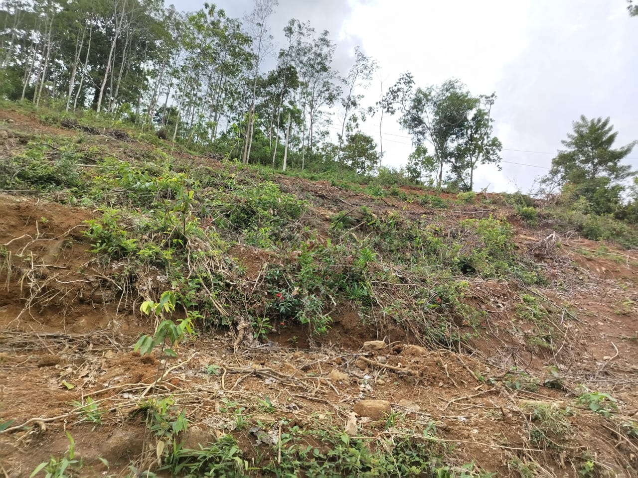 Land for sale Yatanwala