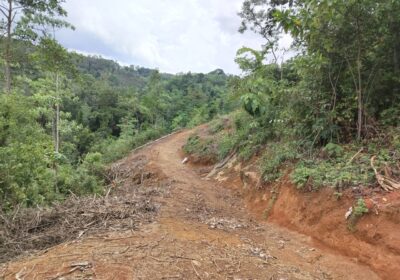 Land for sale Yatanwala