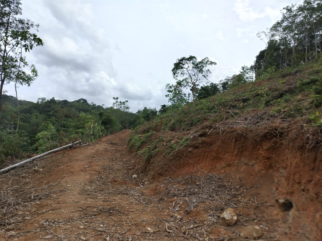 Land for sale Yatanwala