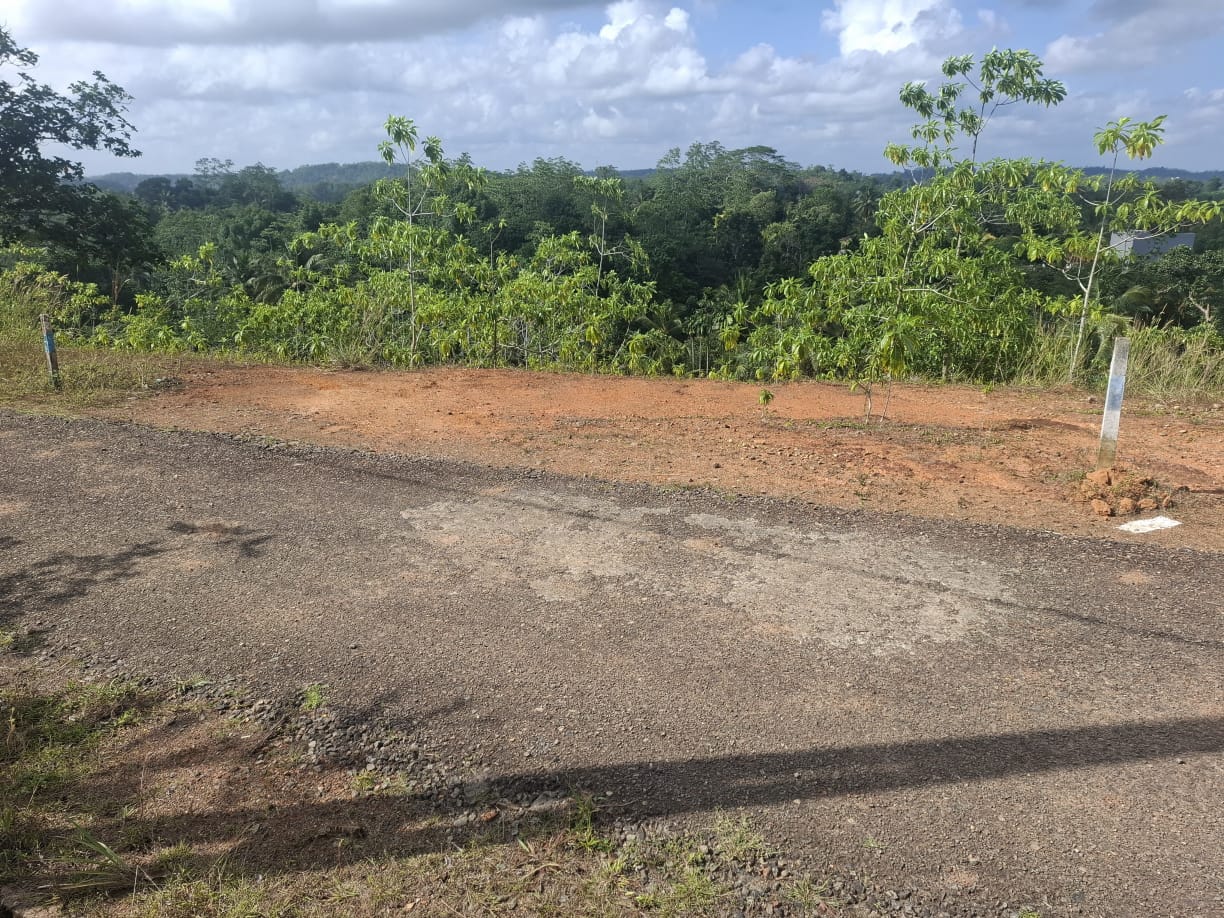 Land Close to Pinnaduwa Highway Entrance Sale Galle