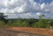 Land Close to Pinnaduwa Highway Entrance Sale Galle