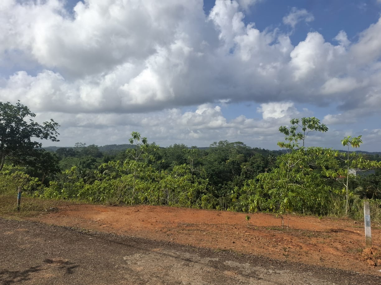 Land Close to Pinnaduwa Highway Entrance Sale Galle