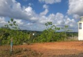 Land Close to Pinnaduwa Highway Entrance Sale Galle