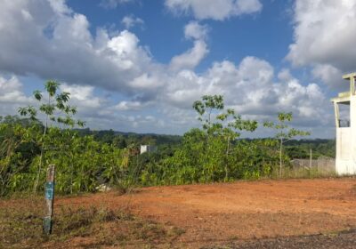 Land Close to Pinnaduwa Highway Entrance Sale Galle