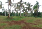 Land for Sale in Gampaha