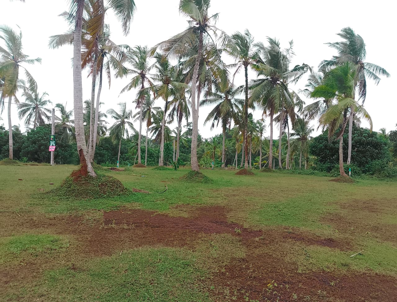 Land for Sale in Gampaha