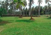 Land for Sale in Gampaha