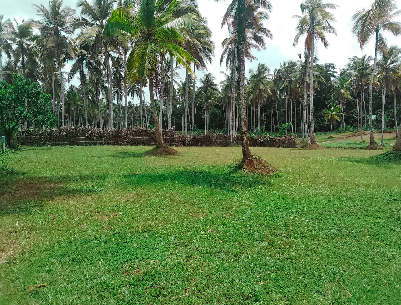 Land for Sale in Gampaha
