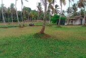 Land for Sale in Gampaha