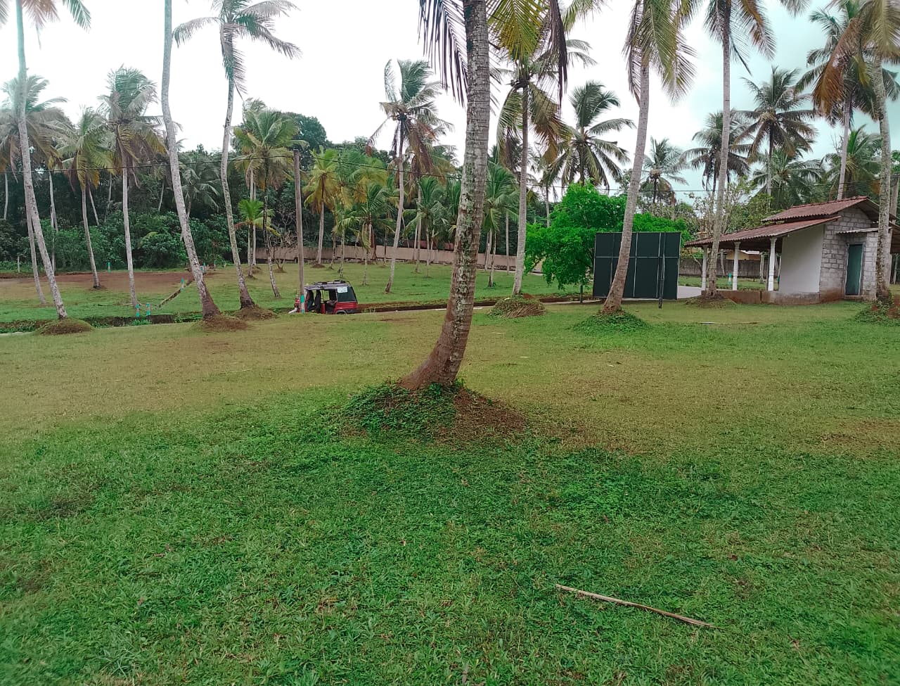 Land for Sale in Gampaha