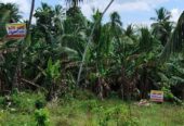 Residential Land for Sale in Wathurugama