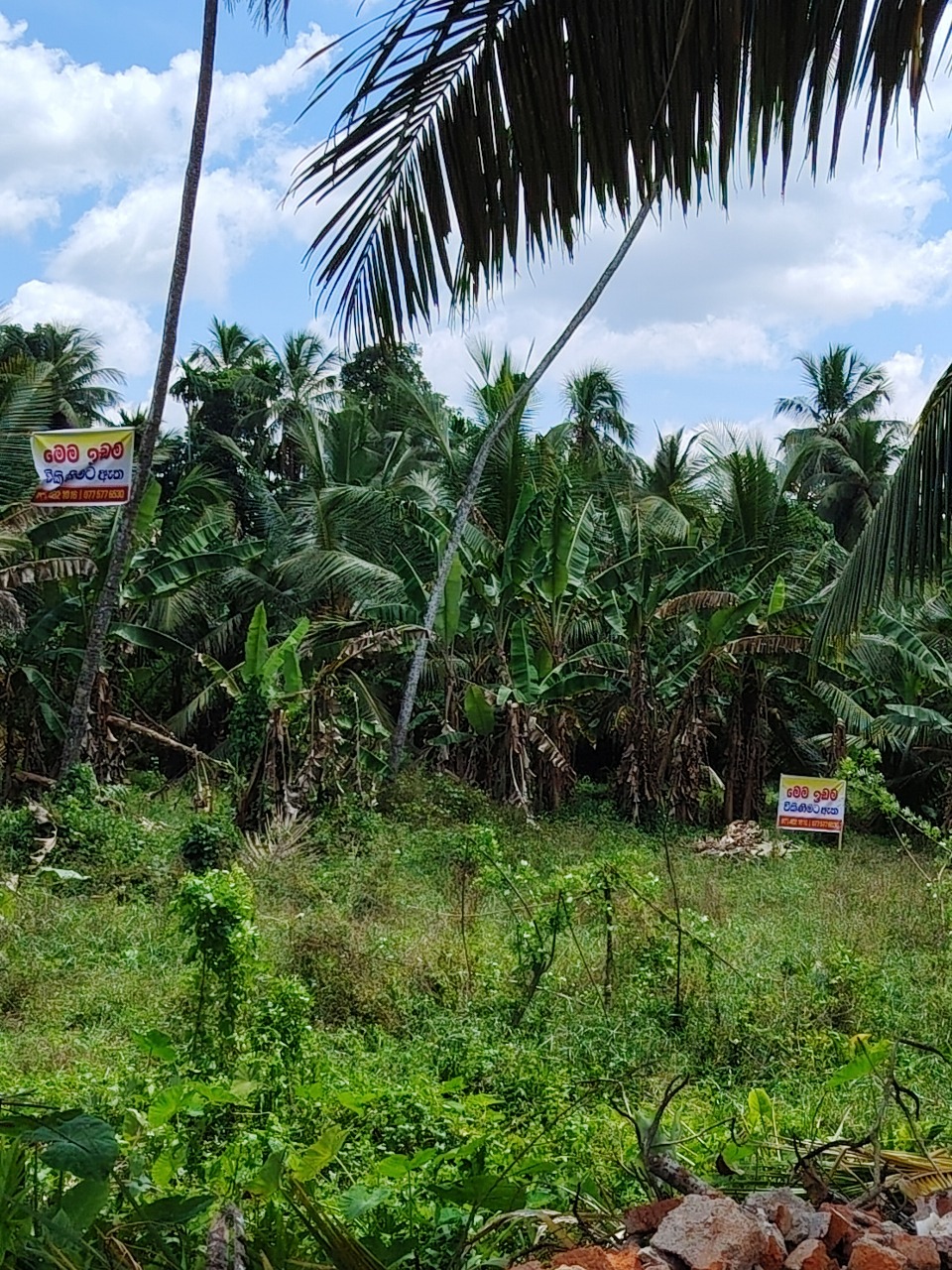 Residential Land for Sale in Wathurugama