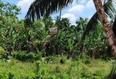 Residential Land for Sale in Wathurugama