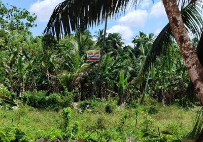Residential Land for Sale in Wathurugama