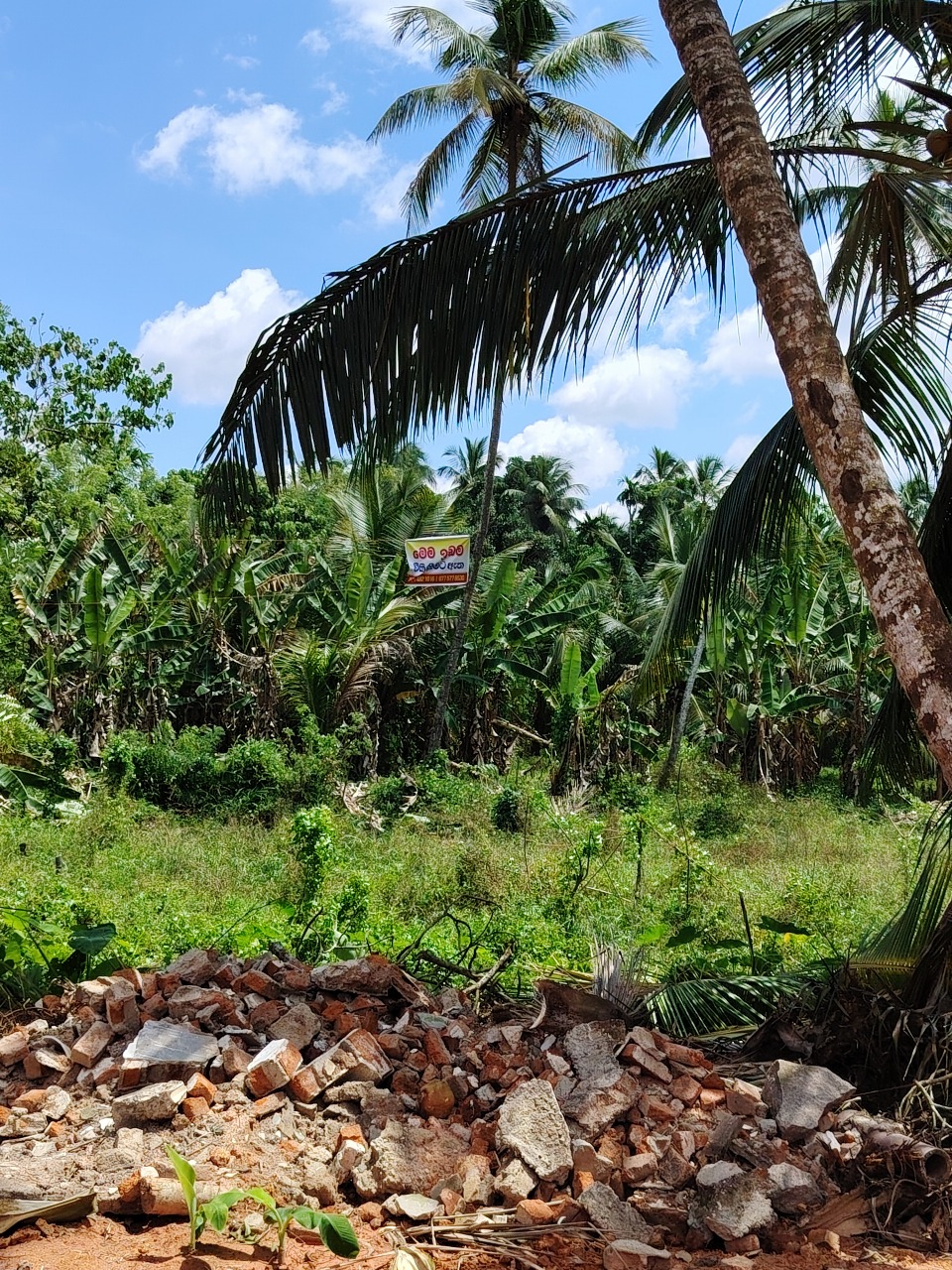 Residential Land for Sale in Wathurugama