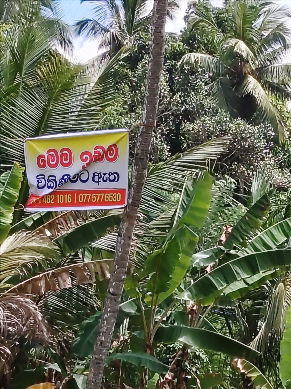 Residential Land for Sale in Wathurugama