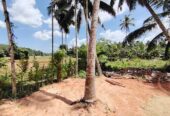 Residential Land for Sale in Wathurugama