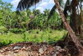 Residential Land for Sale in Wathurugama