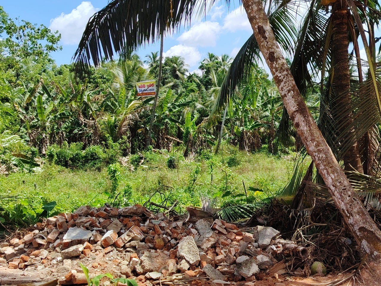 Residential Land for Sale in Wathurugama
