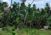 Residential Land for Sale in Wathurugama