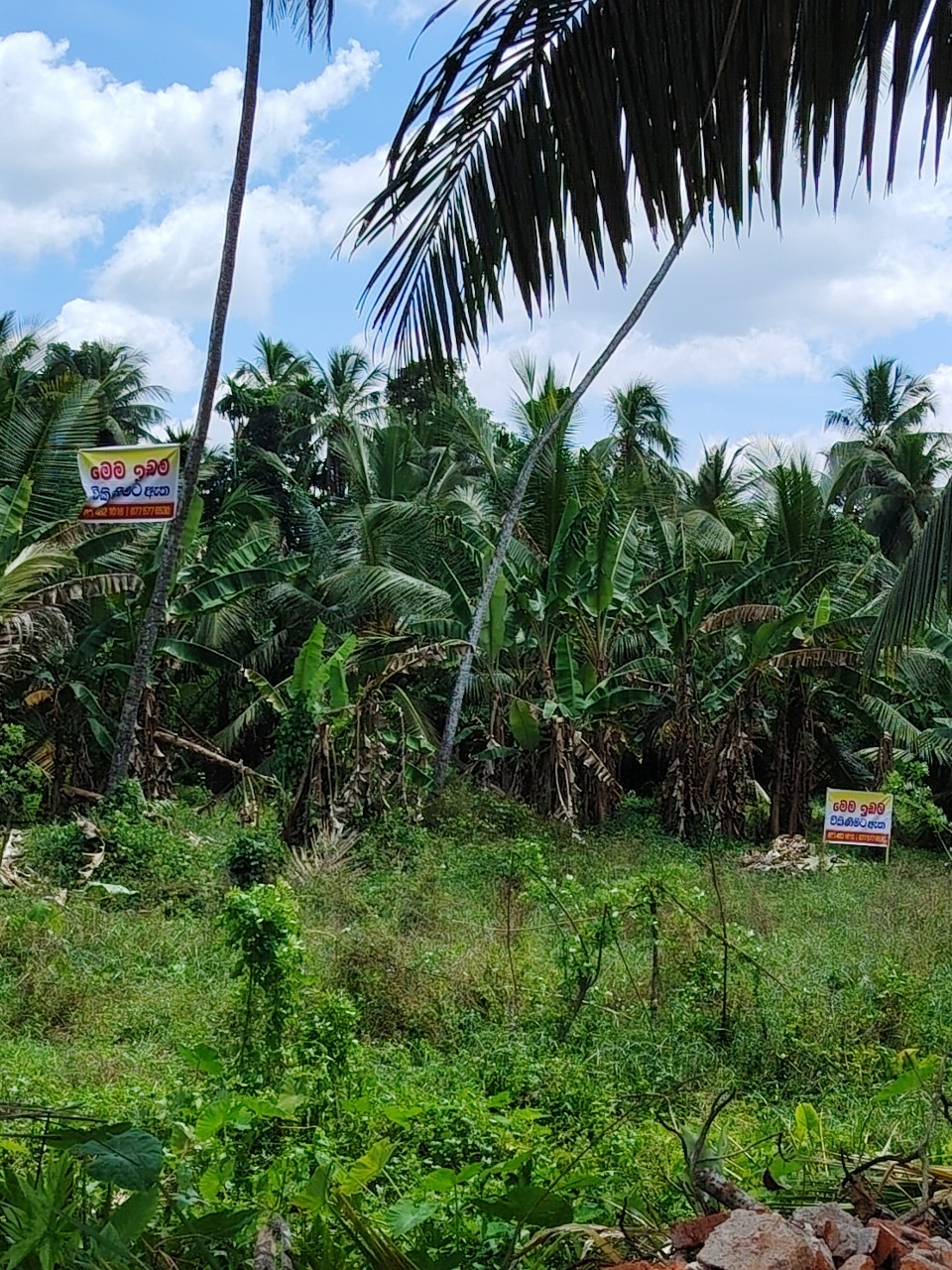 Residential Land for Sale in Wathurugama