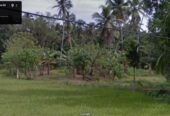 Residential Land for Sale in Wathurugama