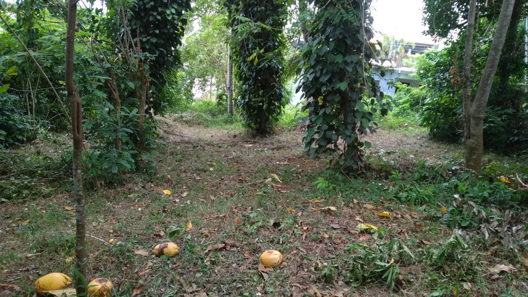 Land for sale near Polgasowita and Kahathuduwa