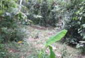 Land for sale near Polgasowita and Kahathuduwa