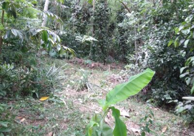 Land for sale near Polgasowita and Kahathuduwa