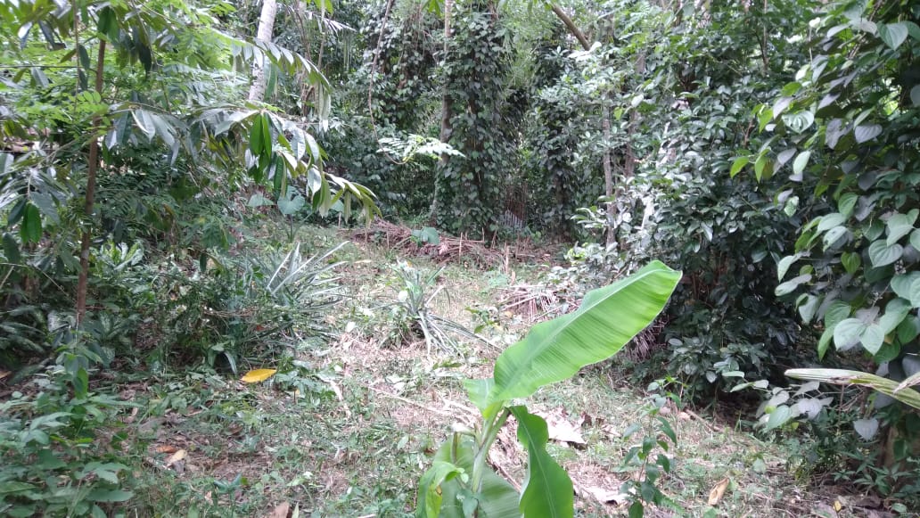 Land for sale near Polgasowita and Kahathuduwa