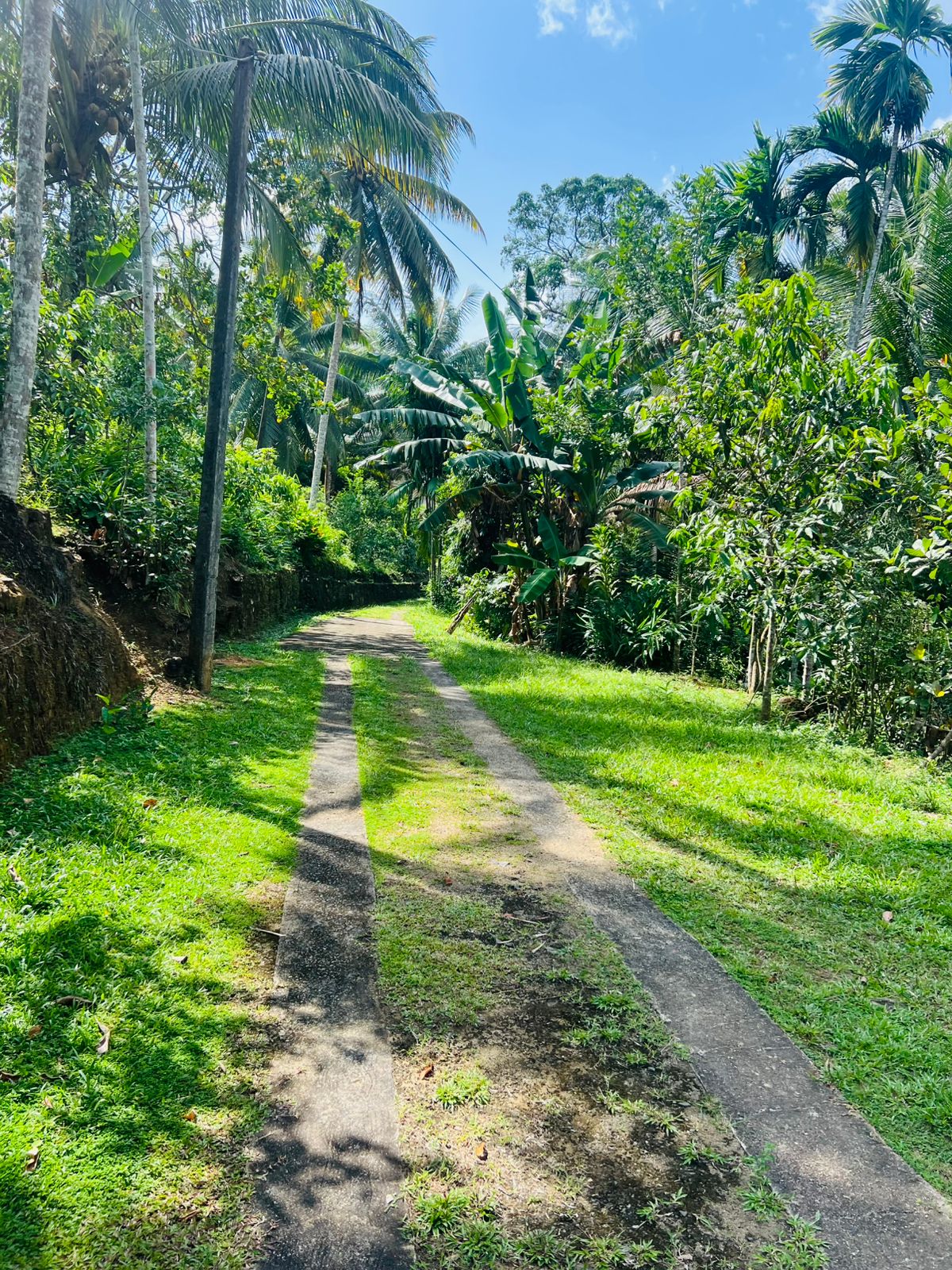 Land for Sale in Akuressa