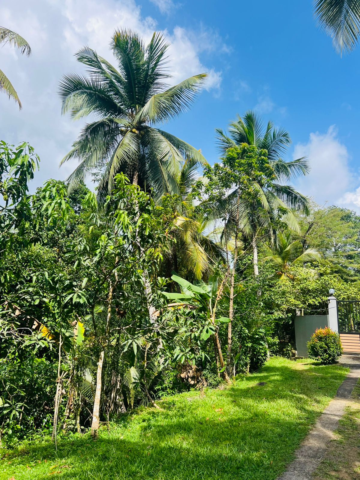 Land for Sale in Akuressa