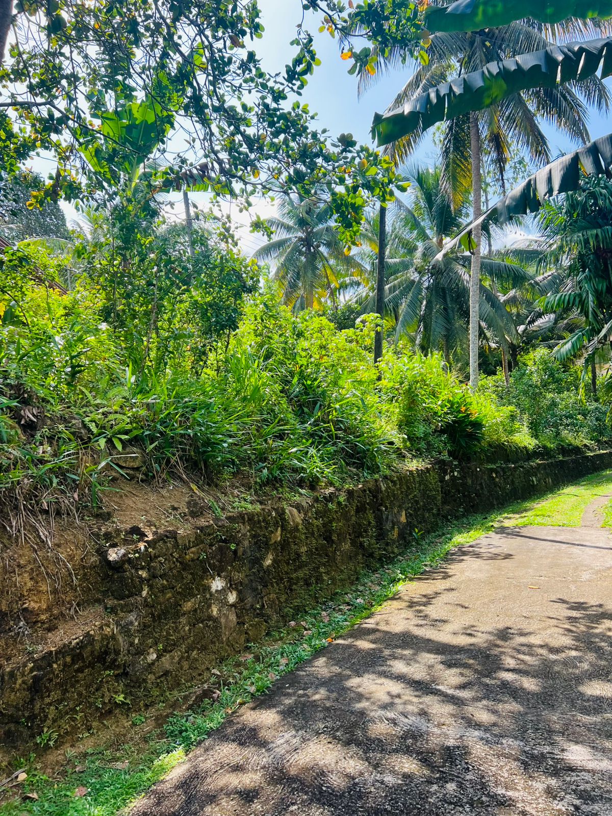 Land for Sale in Akuressa