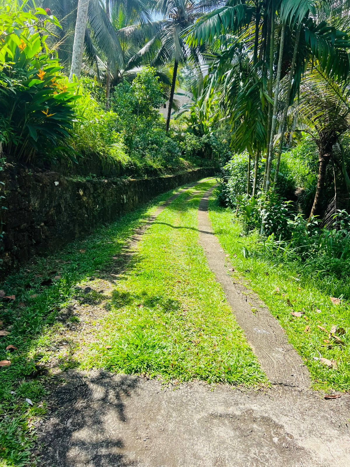 Land for Sale in Akuressa