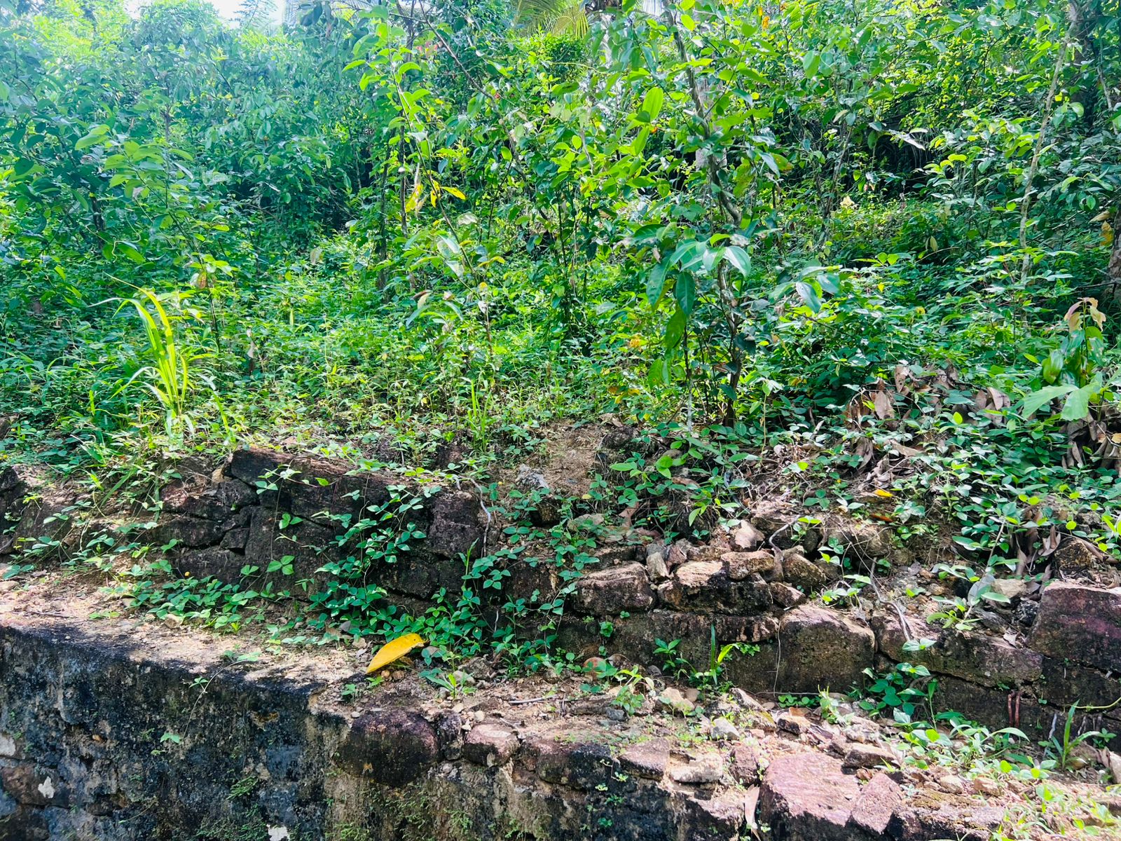 Land for Sale in Akuressa