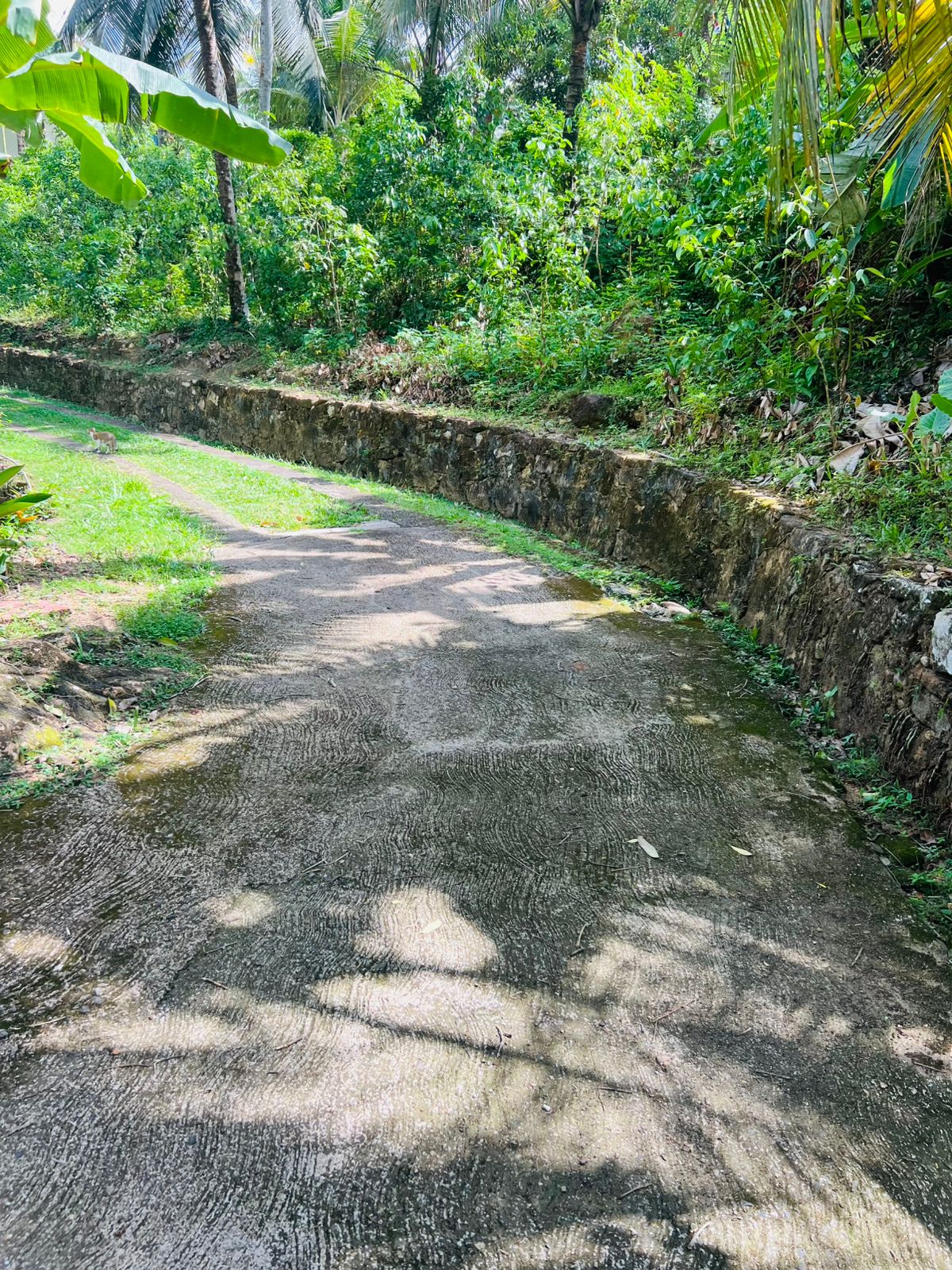 Land for Sale in Akuressa