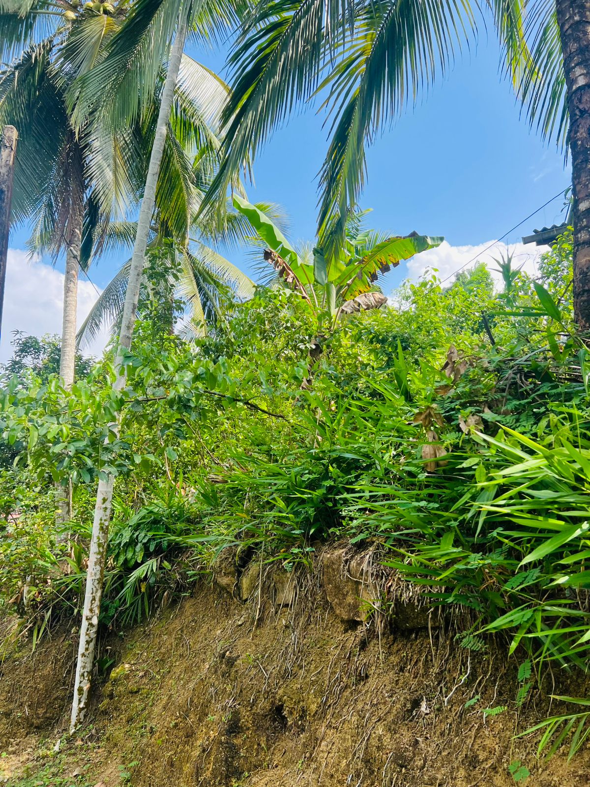 Land for Sale in Akuressa