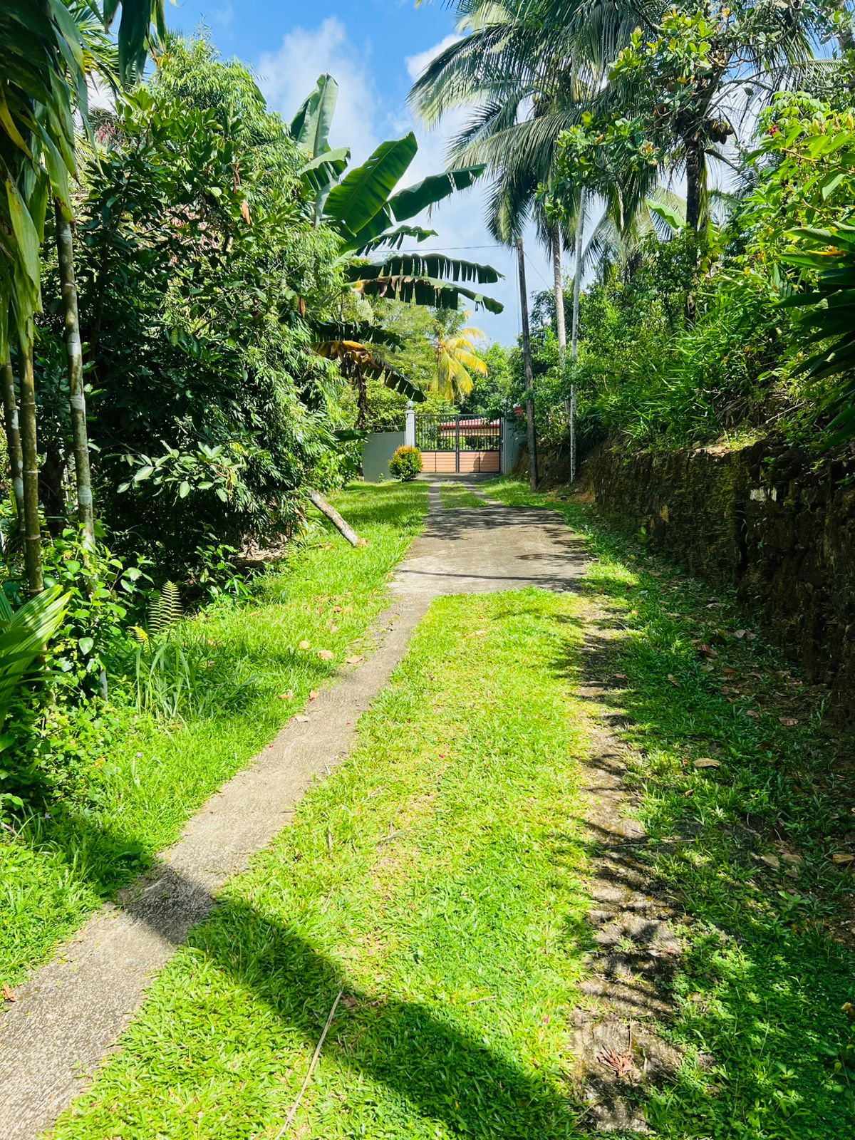 Land for Sale in Akuressa